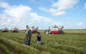 “Hạt giống hạnh phúc”- Bộ phim tài liệu phát sóng trên Truyền hình Việt Nam và Cuba