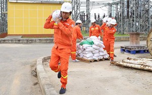 EVN chỉ đạo toàn hệ thống phòng, chống bão số 5 với tinh thần khẩn cấp