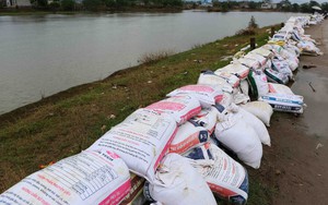 Bão số 5 mạnh lên, 12 tỉnh thành được yêu cầu khẩn trương gia cố đê điều và hồ chứa