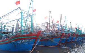 Chỉ đạo của Ban Bí thư về ứng phó với cơn bão số 5 (Kajiki)