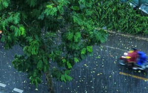 Dự báo thời tiết ngày 25/8: Bão số 5 giật cấp 17, di chuyển theo hướng Tây Tây Bắc 