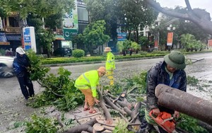 Bão số 5: Thanh Hóa triển khai phương án ứng phó sau khi bão đổ bộ