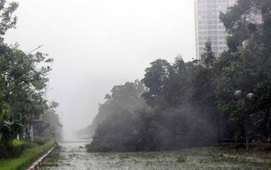 Loạt nhà tốc mái, cây gãy đổ ở Hà Tĩnh trước bão số 5