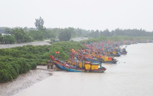 Thủ tướng yêu cầu triển khai quyết liệt công tác ứng phó bão số 5