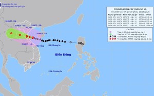 Chi tiết thông tin ứng phó với bão số 5 sắp đổ bộ hôm nay