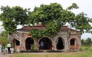 Độc đáo ngôi đình có một không hai ở Đồng Tháp