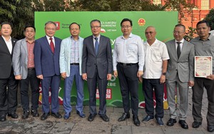 Sức nóng từ sắc màu "miền nhiệt đới Việt Nam giữa lòng thủ đô của nước Nga"