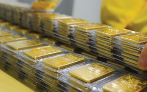 Giá vàng hôm nay chạm mức cao nhất trong gần hai tuần