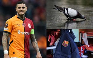 Một trong những tiền đạo hay nhất châu Âu bị cáo buộc giết và ăn thịt chim bồ câu tại lò La Masia của Barcelona