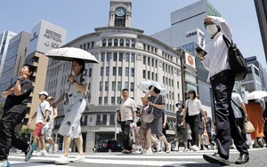 Chuyên gia Nhật Bản khuyến cáo về sốc nhiệt và cách phòng tránh 