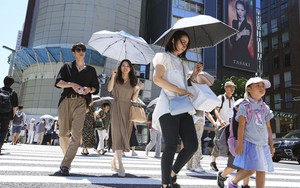 Lời cảnh báo từ những đợt nắng nóng kỷ lục