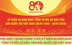 Mẫu biểu trưng chính thức Kỷ niệm 80 năm Ngày Tổng tuyển cử đầu tiên bầu Quốc hội Việt Nam
