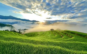 Mùa vàng Thông Nguyên - Bản giao hòa giữa sắc màu văn hóa và thiên nhiên