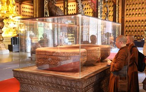 Ninh Bình phát huy giá trị chứng tích sinh học cách đây gần 13.000 năm