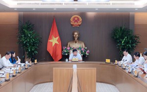 Tập trung nghiên cứu, hoàn thiện dự thảo Nghị quyết về phát triển kinh tế Nhà nước