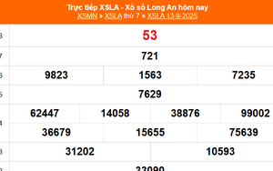 XSLA 13/9 - Kết quả xổ số Long An hôm nay 13/9/2025 - Trực tiếp XSLA ngày 13 tháng 9