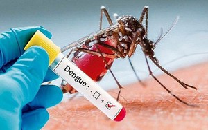 Hà Nội: Dự báo sốt xuất huyết tiếp tục gia tăng theo chu kỳ dịch
