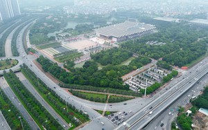 Hà Nội di chuyển, chặt hạ cây xanh phục vụ dự án giao thông trọng điểm