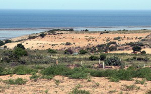 Dự án Nhà máy điện hạt nhân Ninh Thuận: Nhiều vướng mắc cần tháo gỡ