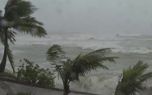 Bão số 8 không ảnh hưởng tới đất liền Việt Nam