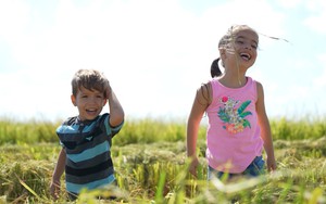 Cuba và Việt Nam trình chiếu phim tài liệu "Hạt giống hạnh phúc"