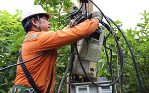 Tập đoàn Điện lực Việt Nam chỉ đạo khẩn ứng phó bão RAGASA