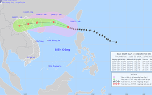 Ứng phó bão số 9: Nhiều phương án bảo đảm vận hành an toàn hệ thống điện quốc gia