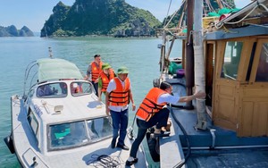 Ứng phó bão số 9: Vân Đồn kích hoạt ở cấp độ cao nhất