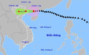 Bão số 9 cách Móng Cái khoảng 300km về phía Đông  sức gió giật cấp 15