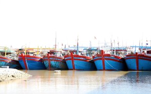 Bão số 9 giảm 1 cấp, cách Quảng Ninh khoảng 510 km về phía Đông