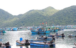 Bão số 9 cách Móng Cái khoảng 570 km về phía Đông