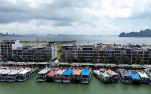 Quảng Ninh: Huy động hàng chục nghìn người và phương tiện chống bão