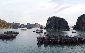 Dự báo ngày 25/9, bão số 9 sẽ ở trên vùng biển Quảng Ninh và suy yếu dần