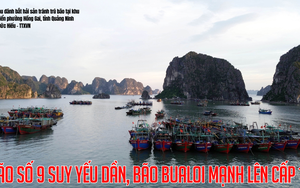 Bão số 9 suy yếu dần, bão BUALOI mạnh lên cấp 12