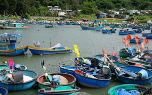 Bình yên làng nghề thuyền thúng ở Tiến Thành, tỉnh Lâm Đồng