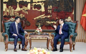 Thủ tướng tiếp Tổng giám đốc Tổ chức Sở hữu trí tuệ thế giới