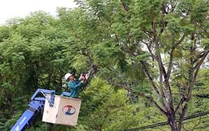 Đà Nẵng khẩn trương ứng phó trước diễn biến phức tạp của bão số 10