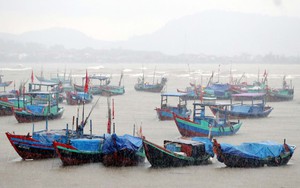 Thứ trưởng Nguyễn Hoàng Hiệp: Bão số 10 là cơn bão mạnh, chưa có yếu tố làm suy giảm cường độ