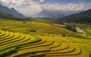 Du lịch và Chuyển đổi bền vững: Hành trình Xanh