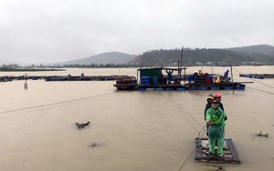 Ứng phó bão số 10: Nghệ An di dời hàng trăm hộ dân