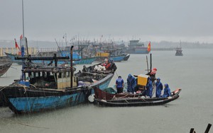 Thủ tướng Chính phủ yêu cầu tập trung ứng phó bão số 10 và tình trạng mưa lũ, sạt lở đất