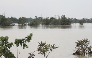 Bão số 10: Bắc Ninh phát lệnh báo động số I trên sông Lục Nam