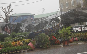 Cứu nạn nhiều người dân mắc kẹt khi nhà sập mái do ảnh hưởng bão số 10