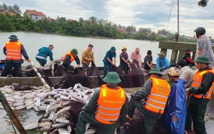 Thủ tướng yêu cầu khẩn trương khắc phục hậu quả bão số 10 và mưa lũ
