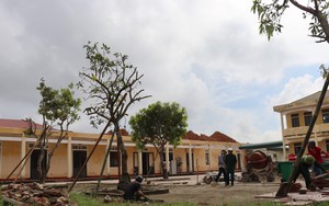 Công điện của Thủ tướng chỉ đạo tập trung khắc phục cơ sở giáo dục bị thiệt hại do thiên tai