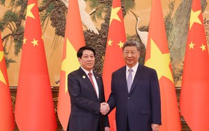 Chủ tịch nước Lương Cường hội đàm với Tổng Bí thư, Chủ tịch nước Trung Quốc Tập Cận Bình  