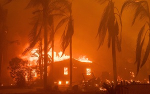 Chính phủ Mỹ kiện công ty điện lực vì vụ cháy rừng nghiêm trọng ở California