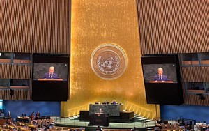 Việt Nam kêu gọi sớm đưa Hiệp ước Cấm thử hạt nhân toàn diện đi vào hiệu lực