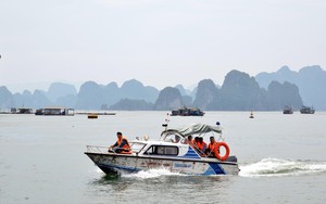 Từ Quảng Ninh đến Đắk Lắk chủ động ứng phó với bão số 7