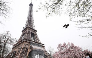Pháp khắc tên 72 nữ học giả xuất chúng lên tháp Eiffel